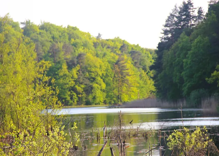 Tatil Evi In At A Kołczewo